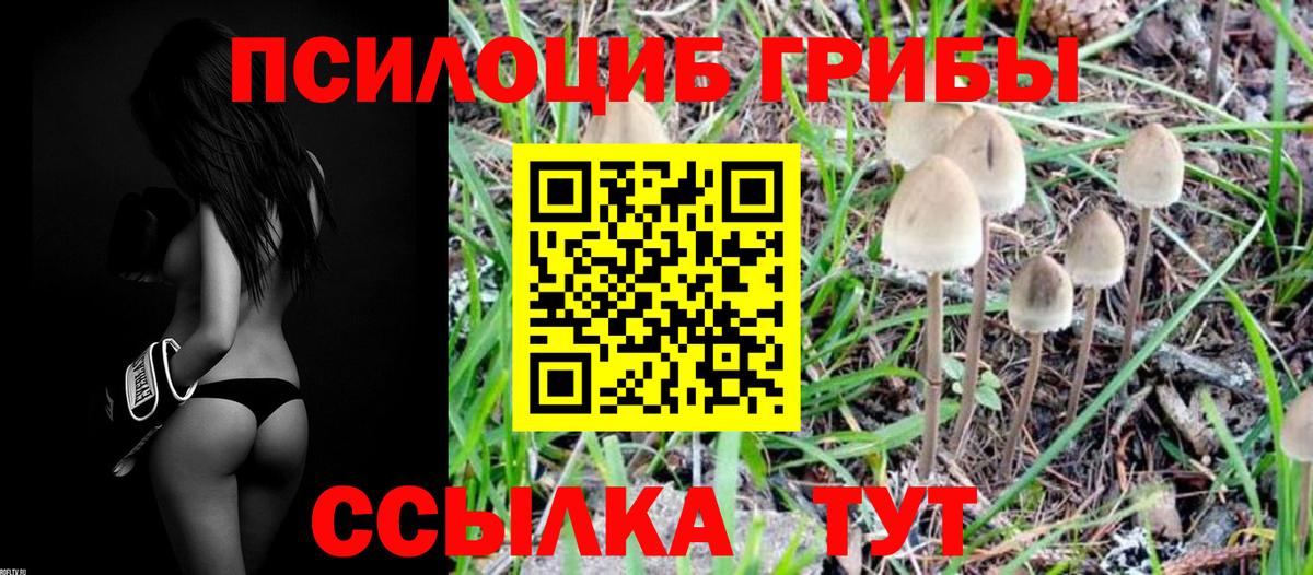 Псилоцибиновые грибы мицелий Чапаевск