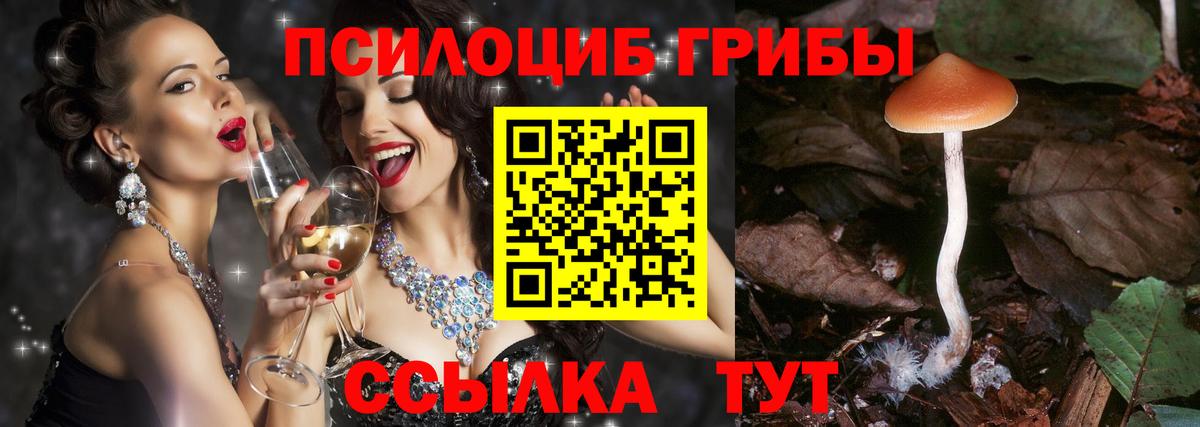 Чапаевск  Галлюциногенные грибы MAGIC MUSHROOMS  Вход с VPN 